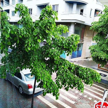 Lovely Apt At The Heart Of The City&Near The Lake Pogradec Ngoại thất bức ảnh